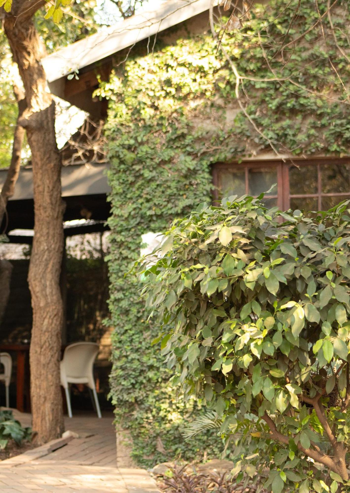 Paradise Creek Lodge ماليلين المظهر الخارجي الصورة